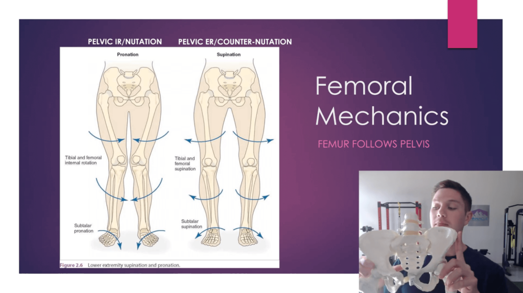 biomechanics webinar