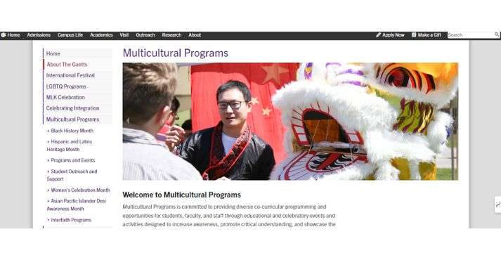 Cultural Integration Programs