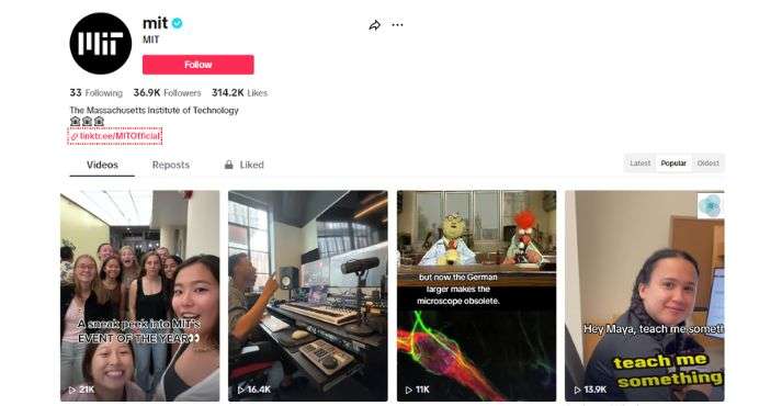 Keep It Social With TikTok